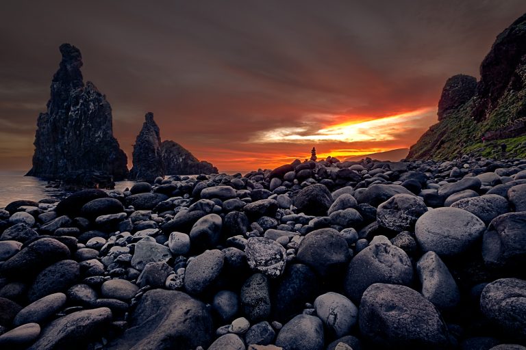 Le sentinel©Michel Gosselin